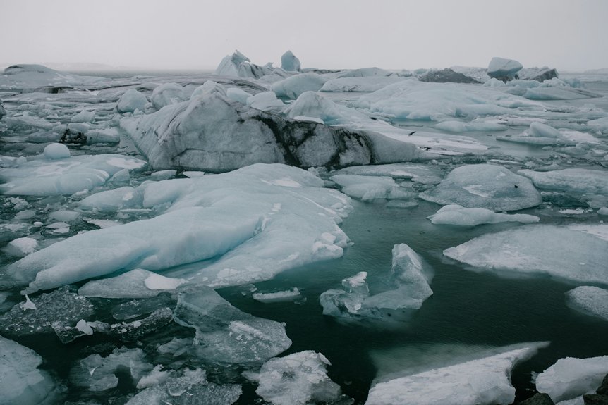 tropical maritime climate conditions